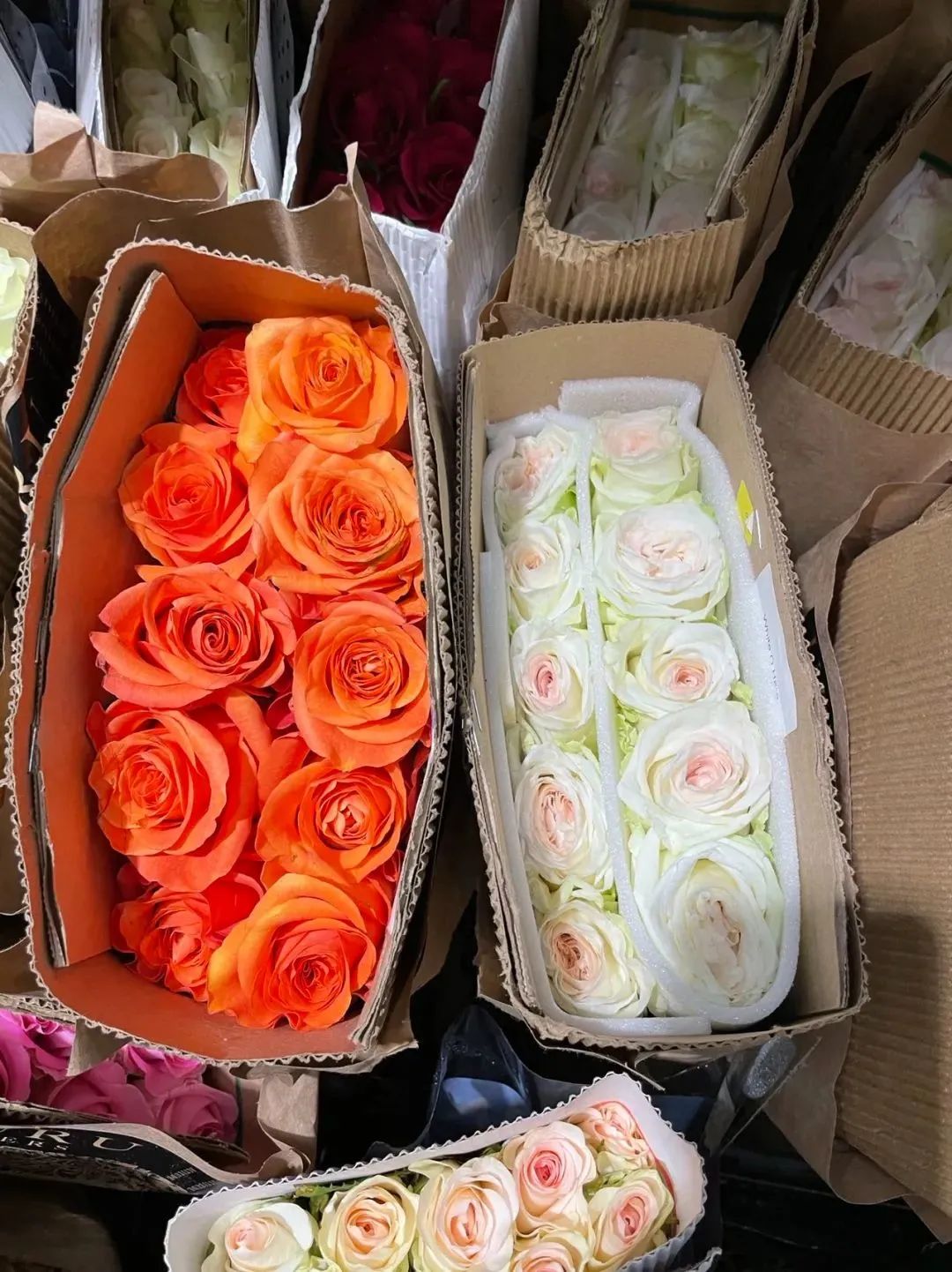 鲜花在水里能养几天会死,新加坡盆栽花卉怎么养