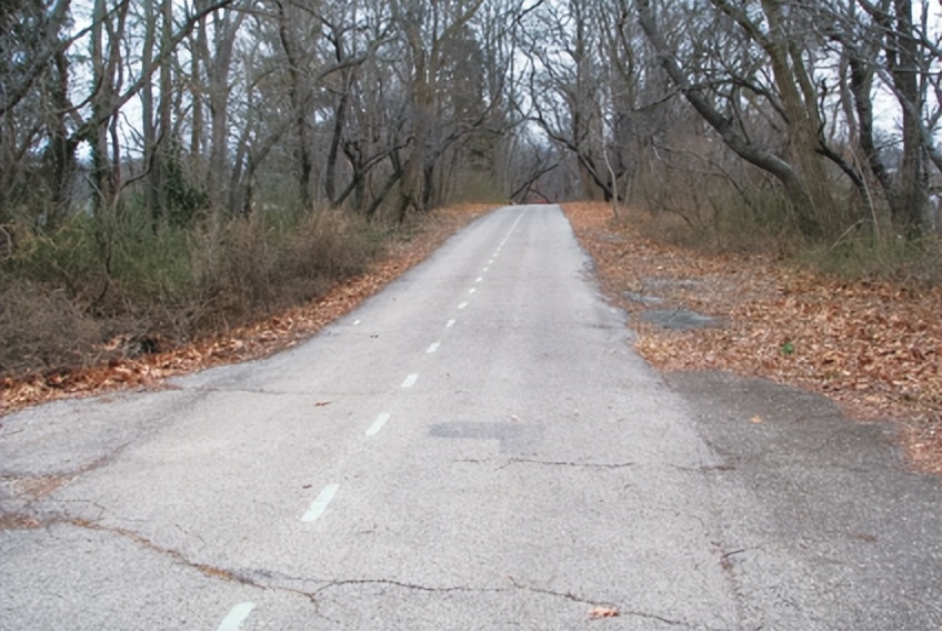 红绿灯引争议,红绿灯活动反思和评价