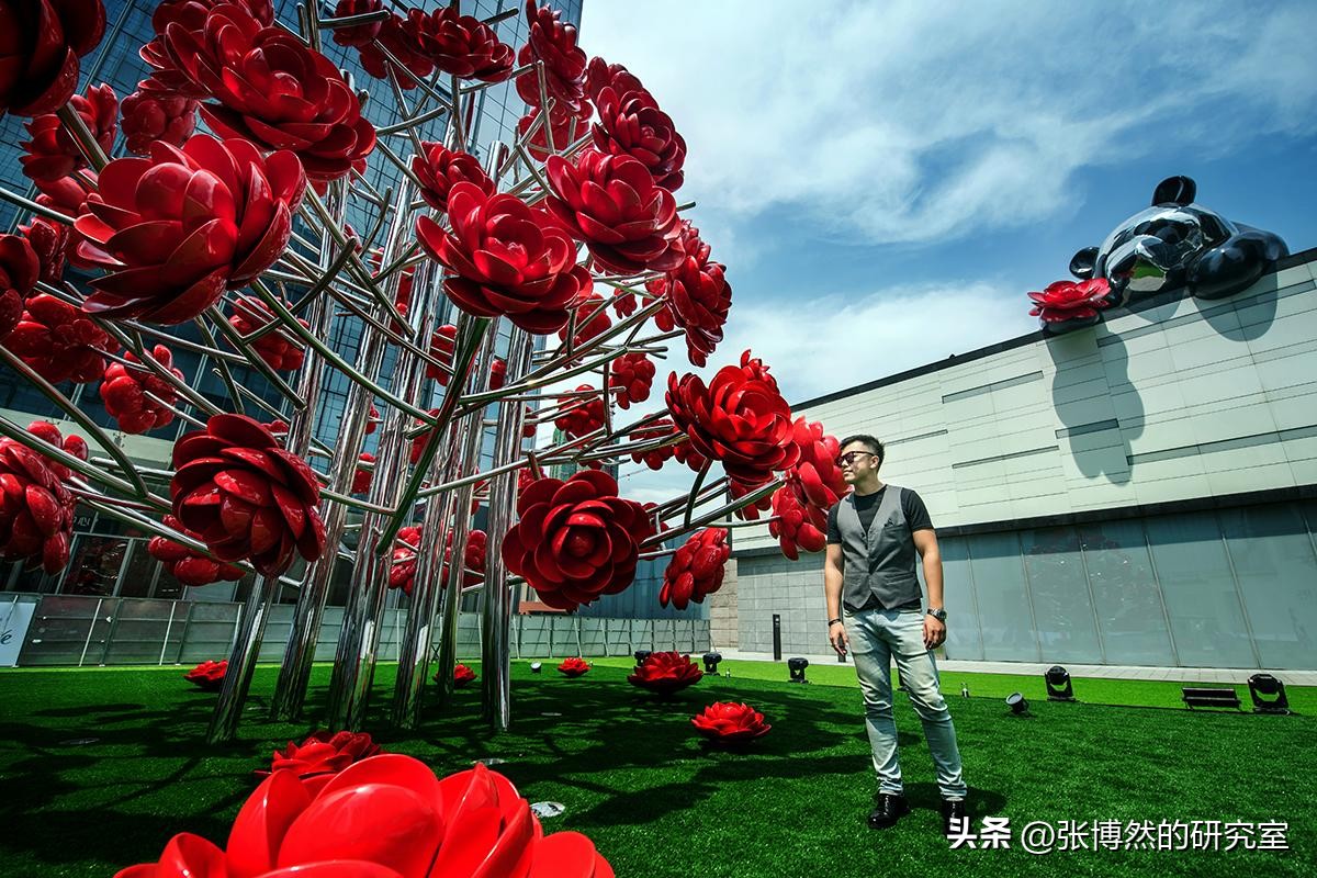 当代艺术的社会政治批判性：商业化与社会接受度的挑战与前景