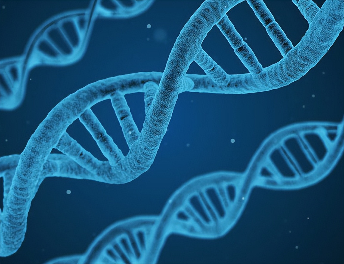 体内有癌三处变黑,体内有癌可能有3处变黑