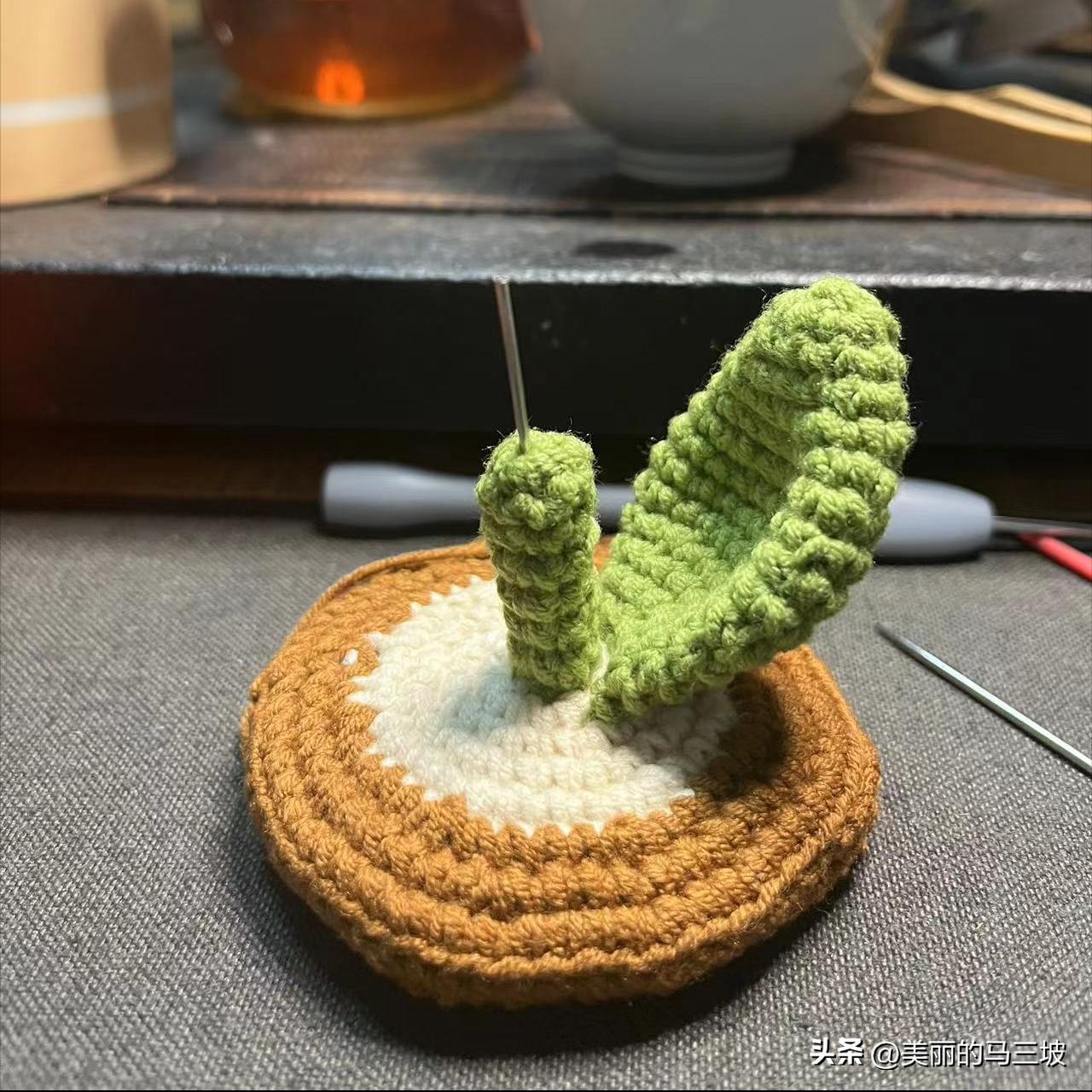 郁金香花朵收纳盒编织教程,郁金香的盆栽的钩织教程