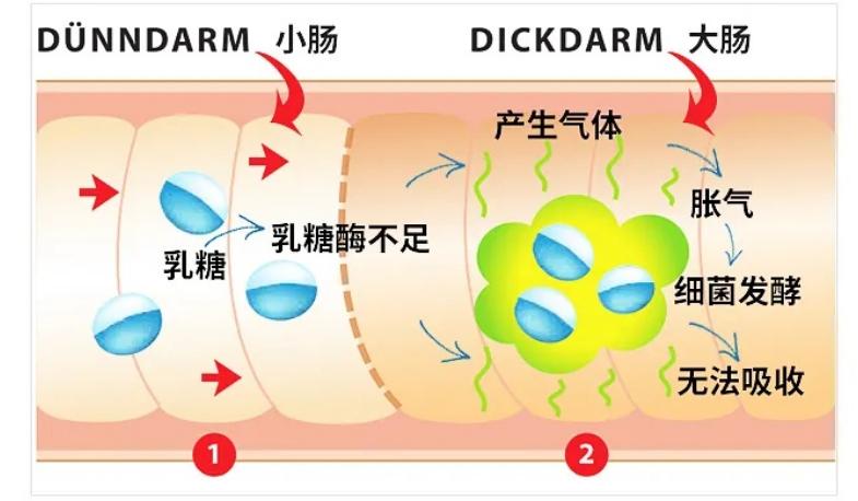 牛奶羊奶骆驼奶粉谁最更有营养,牛奶骆驼奶羊奶哪种营养价值最高
