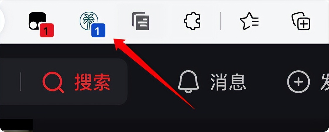 浏览器插件，*载下**你看到的视频。