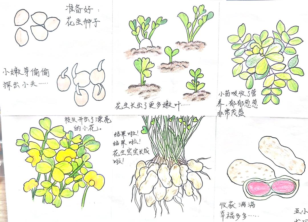 双减政策下少先队实践教育案例,双减政策下小学德育工作实践
