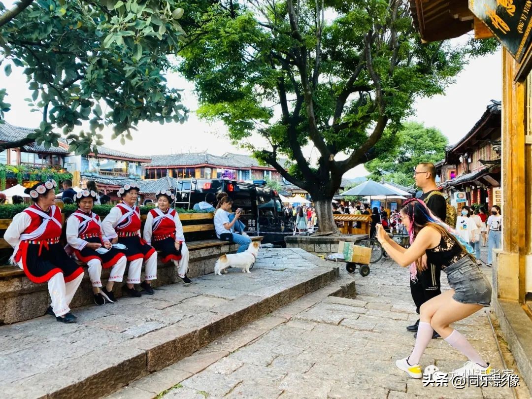 海阔凭鱼跃，天高任鸟飞---九州摄影浙江俱乐部优秀作品展