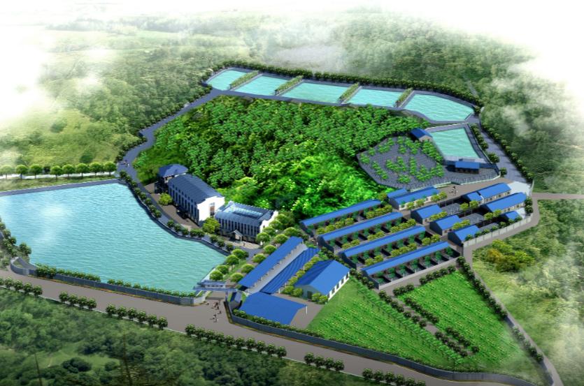 养鱼老板靠什么赚钱,一个养鱼池怎样经营才能挣到钱