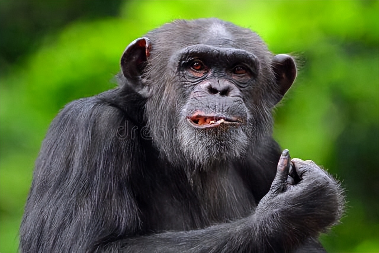 hiv抗体阳性就能确定是艾滋病吗,hiv阳性一定是艾滋病吗