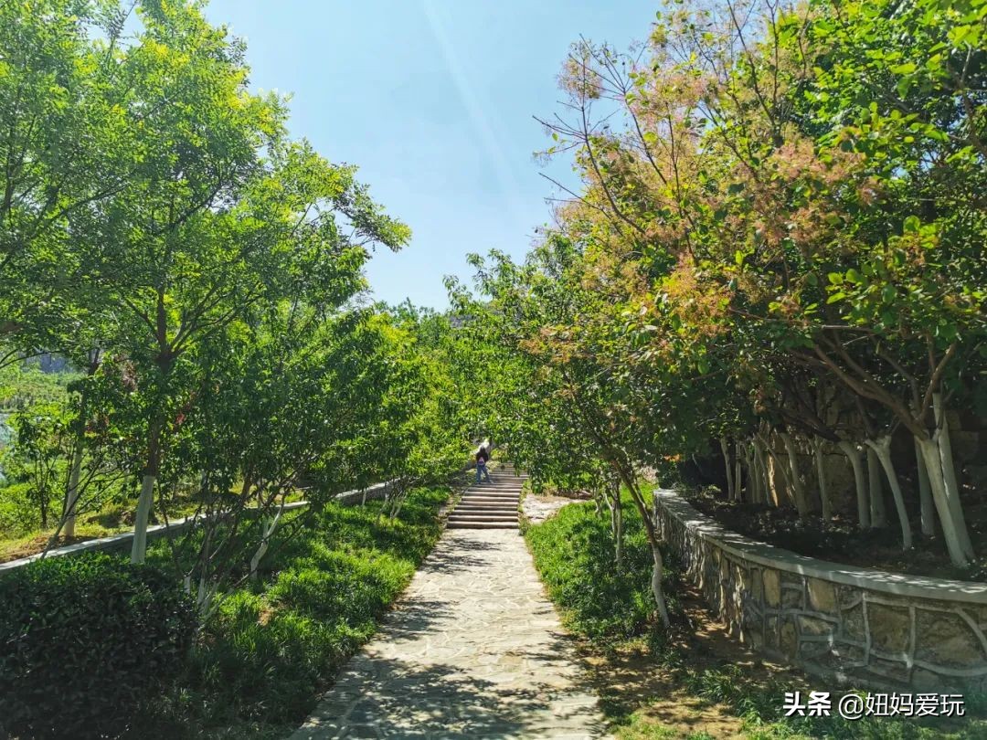 济南市区适合带孩子去的免费公园,济南市区免费公园推荐