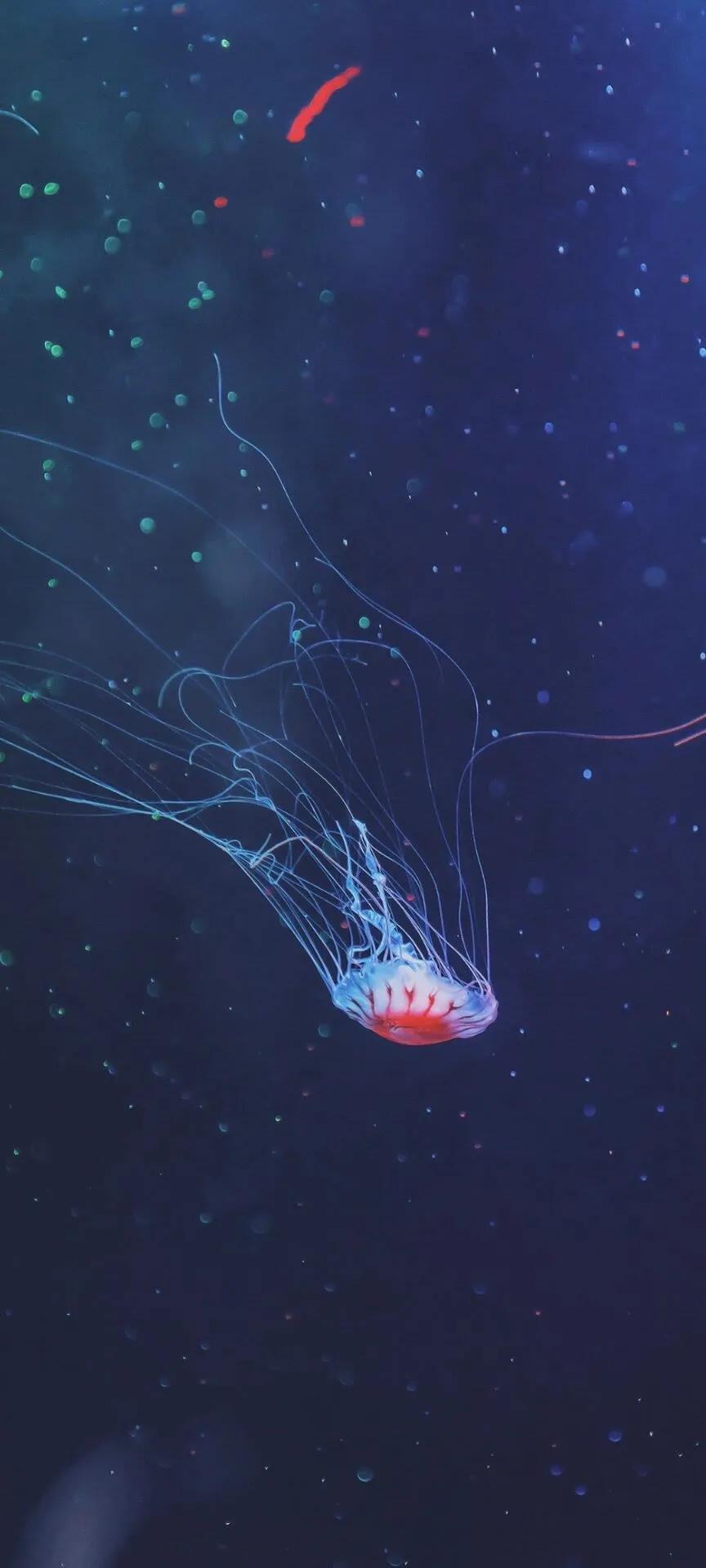 锁屏壁纸全屏壁纸,动态锁屏壁纸全屏高清120帧