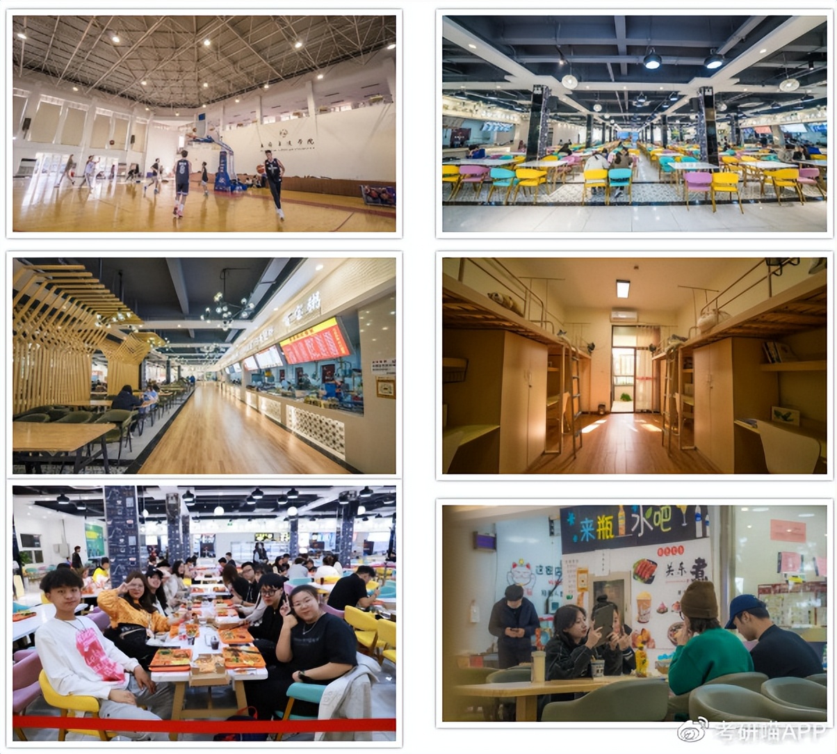 上海立达学院最新发布,上海立达学院2020专科招生简章