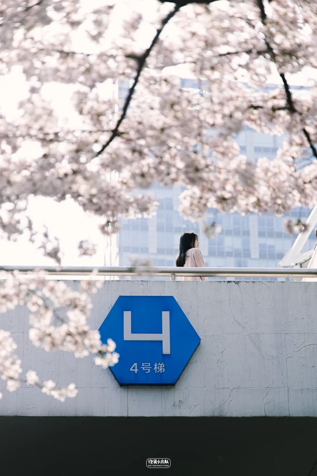 樱花最旺盛的时间,樱花最茂盛的时候是哪个季节