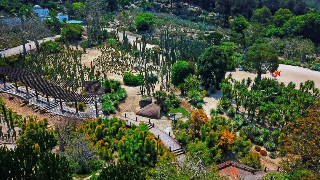 升！升！升！周末去这些地方打卡→