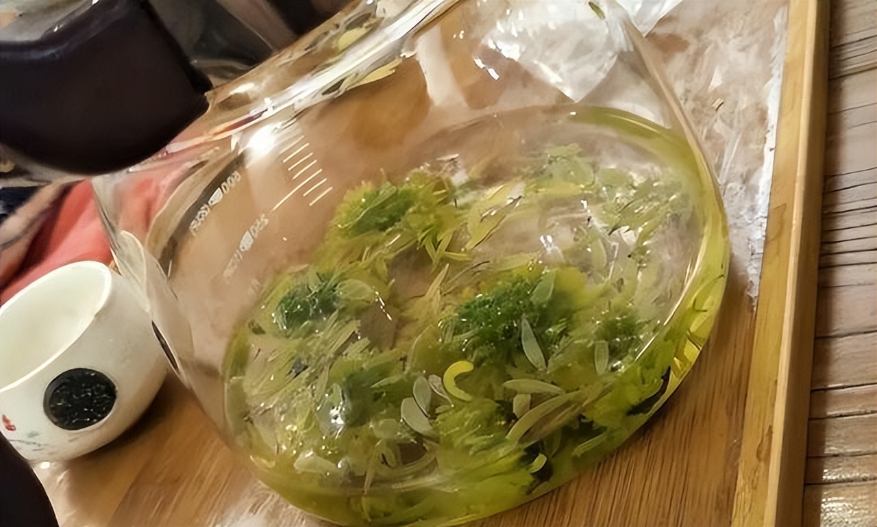 上了年纪要忌菊花茶？建议：牢记“2喝2不喝”，浑身舒爽精神好