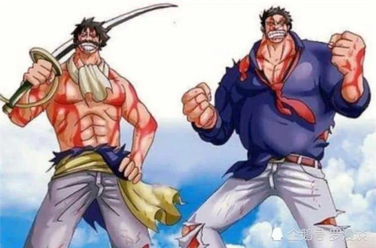 海贼王d之一族含义是什么,海贼王d之一族的含义