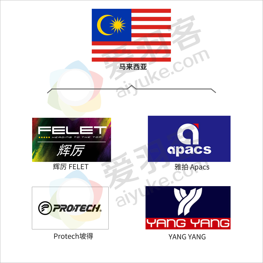 一文看懂羽毛球拍,一文了解英伟达