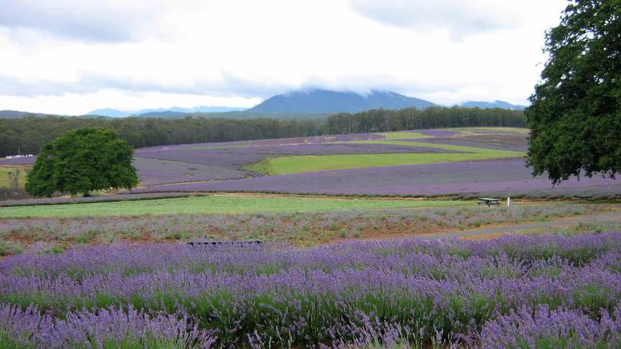 女人投资自己的最佳方式,中年女人投资自己的最好方式