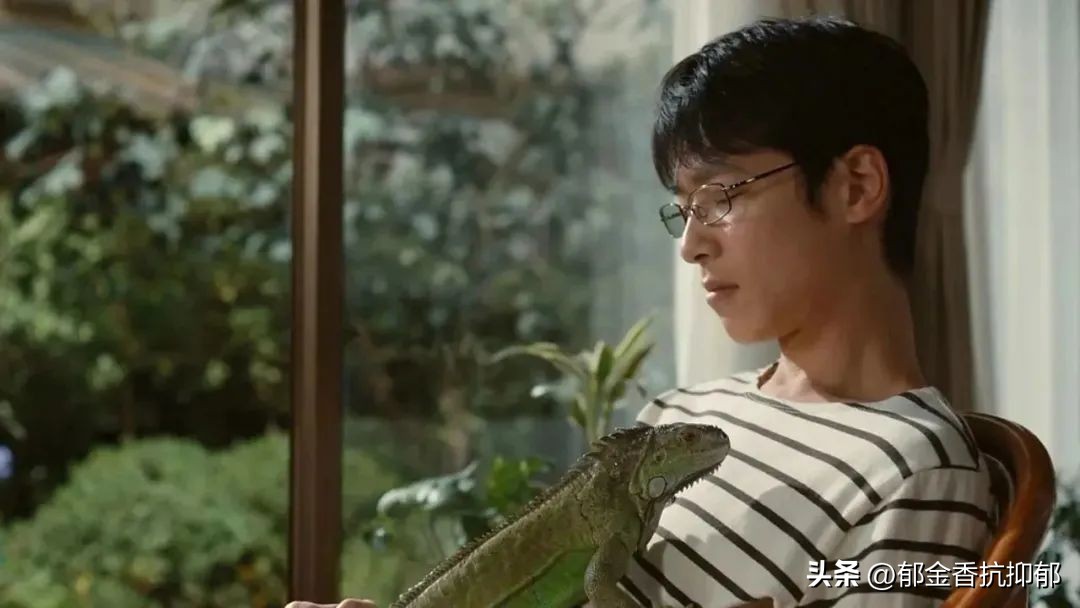 人到中年我依然觉得孤独,人到中年快抑郁了正常吗