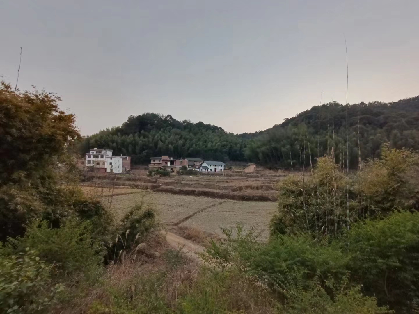 一年收入96910元个人纳税要多少,一个月赚8000的话交税多少