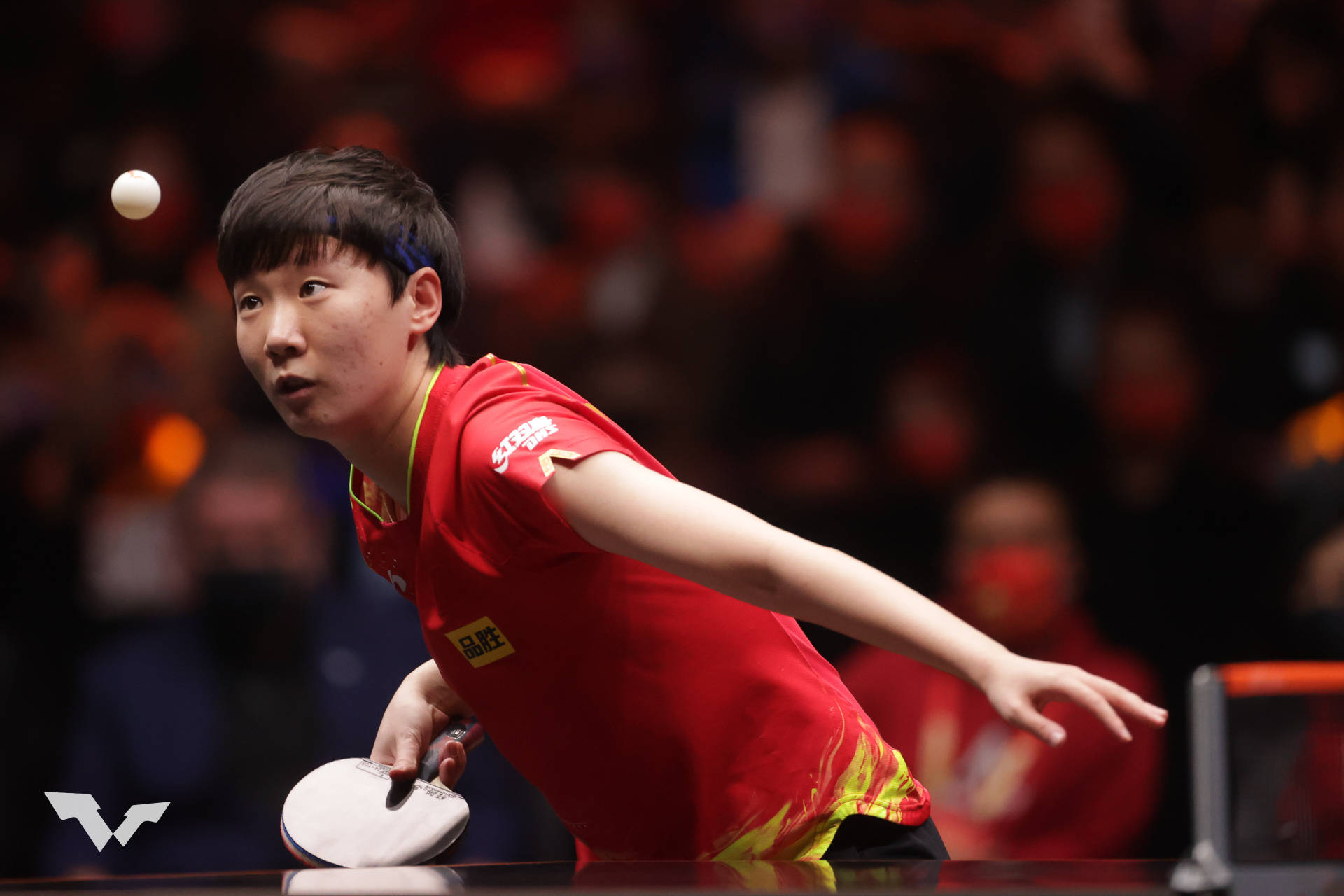 王曼昱换斯蒂卡新球板,王曼昱换底板豆瓣