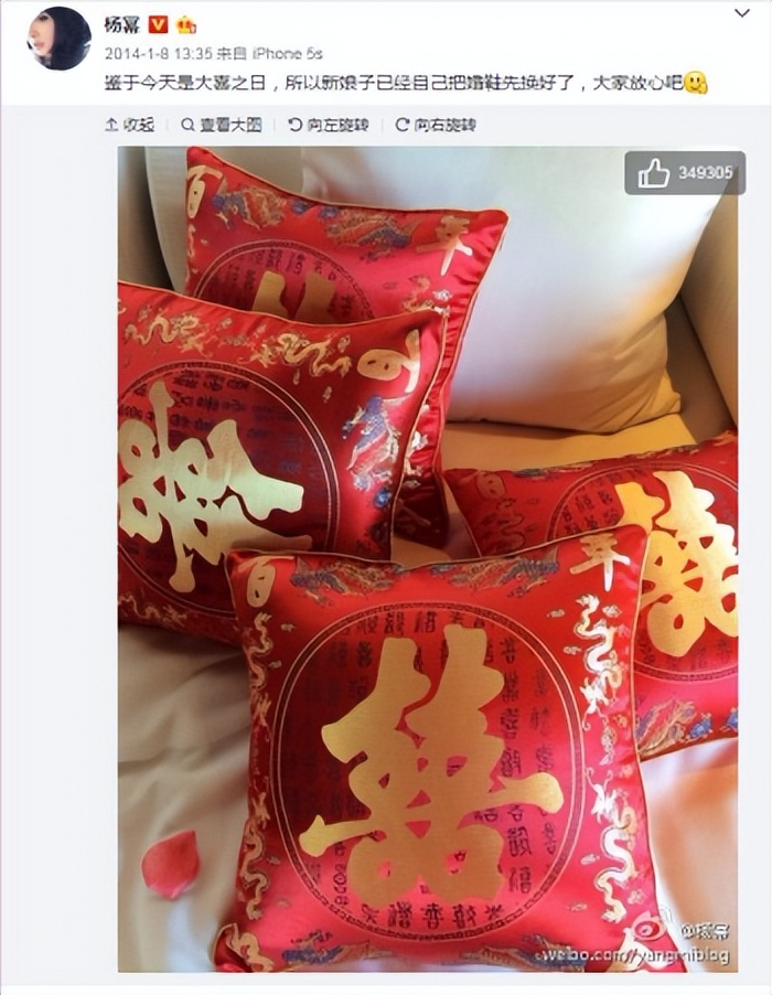 内娱小天后杨幂,内娱杨幂地位