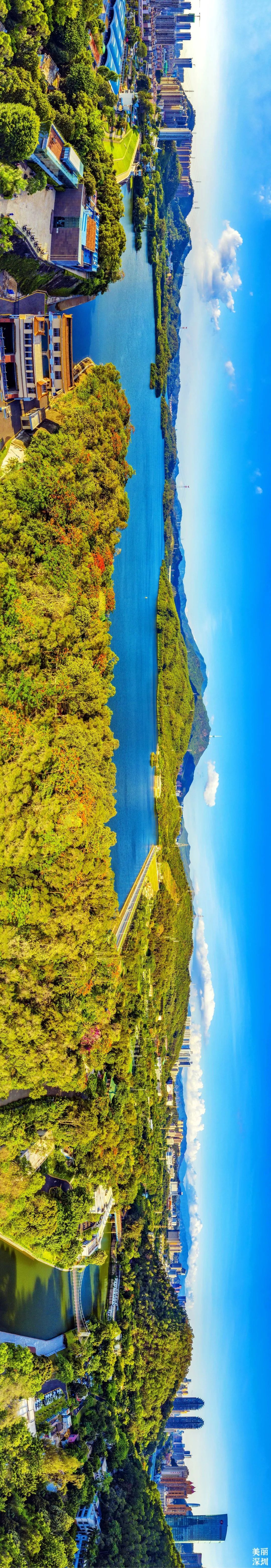 深圳最美公园是什么样子的,深圳市最美公园图片欣赏