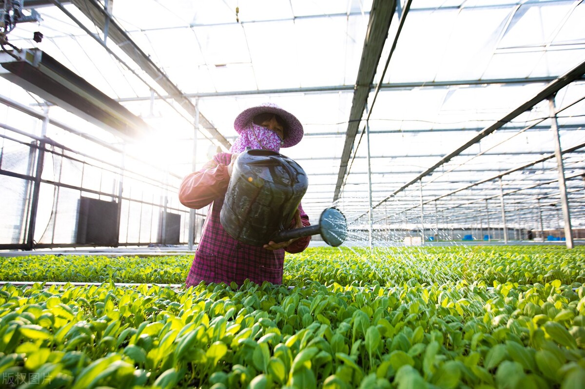 生态农业做什么最赚钱,生态农业前景如何