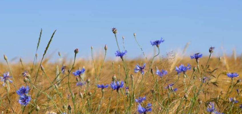 什么是沟通障碍如何改善人际沟通,如果与人沟通存在沟通障碍怎么办