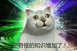 高端英文名外国人推荐,出国留学适合用的英文名