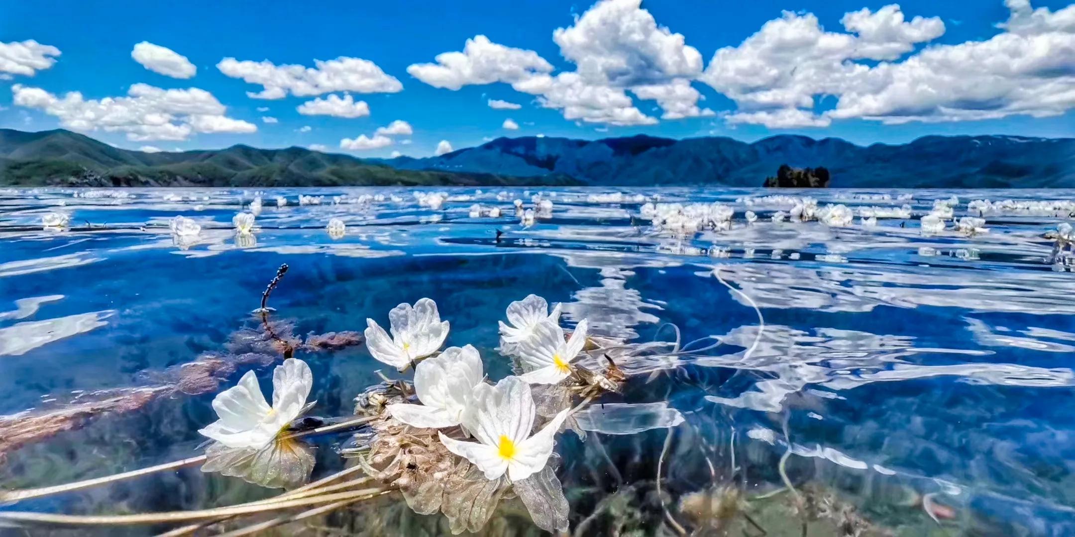 一个小学文化的农民，3年时间5次出手，如今净赚1000万