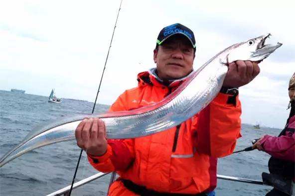 带鱼的“忧虑”:一年出水百万吨,繁荣背后其实暗藏玄机?