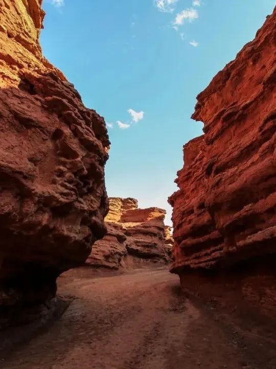 向北向北！|“美”在内蒙古