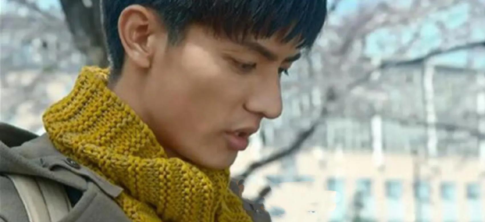 刘畅当模特的图片,刘畅模特主演的电视片段