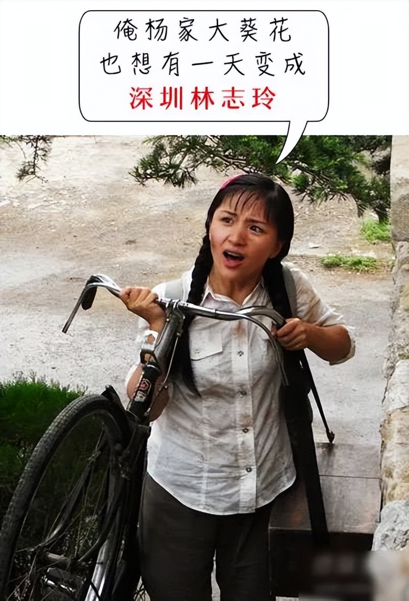 去公园可怕的虫子,去公园如何避免蚊虫叮咬