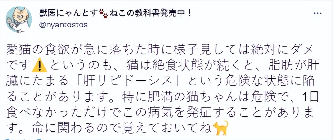 兽医讲解猫生病,聊聊猫咪常见疾病