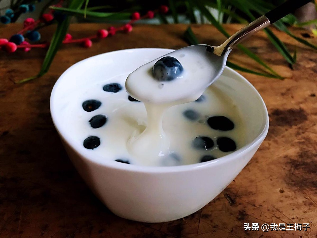 用酸奶做引子自制酸奶的家常做法,自制酸奶纯奶和酸奶的比例