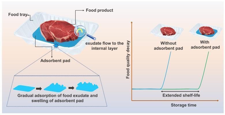 纤维素基水凝胶,纤维素水凝胶