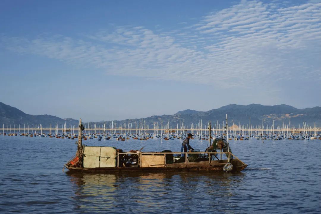 海美、小吃巨好吃！这个神还原游戏世界的小城，不该这样被埋没！