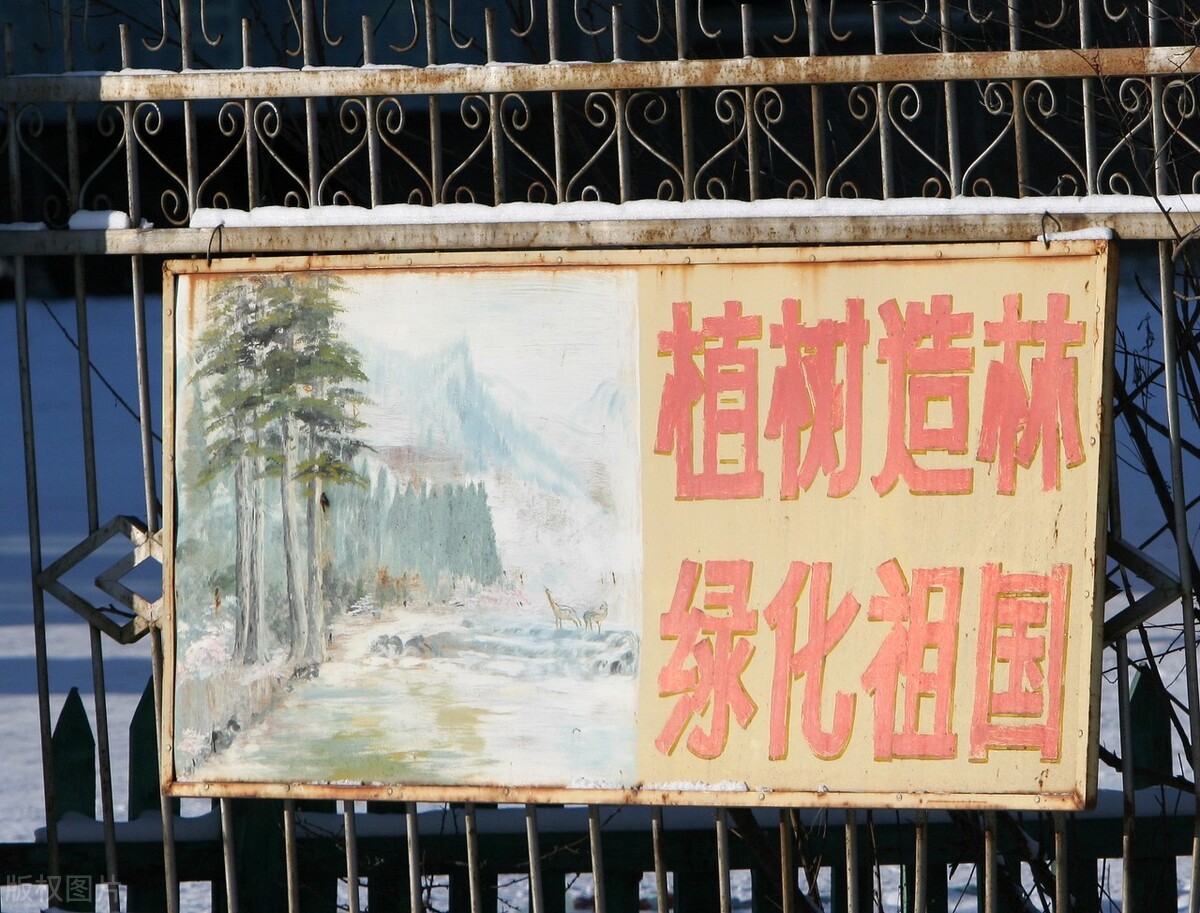 AI写作:植树节活动方案,看这一篇就够了