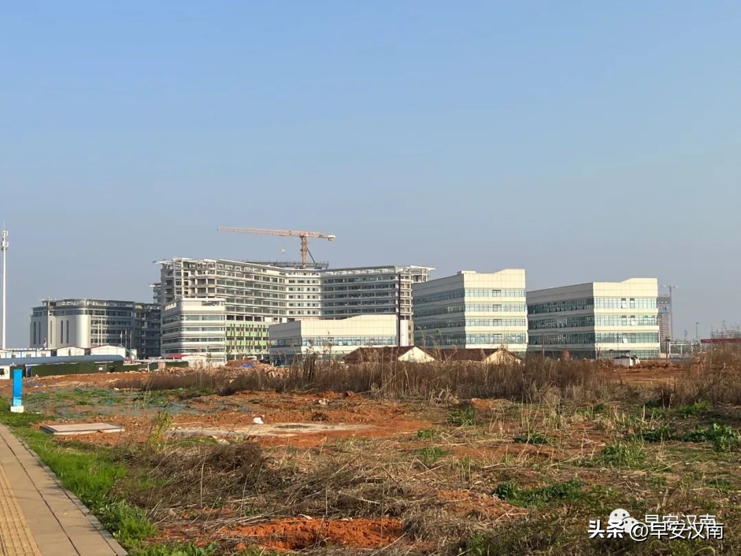 武汉汉南新开的医院,汉南三甲医院