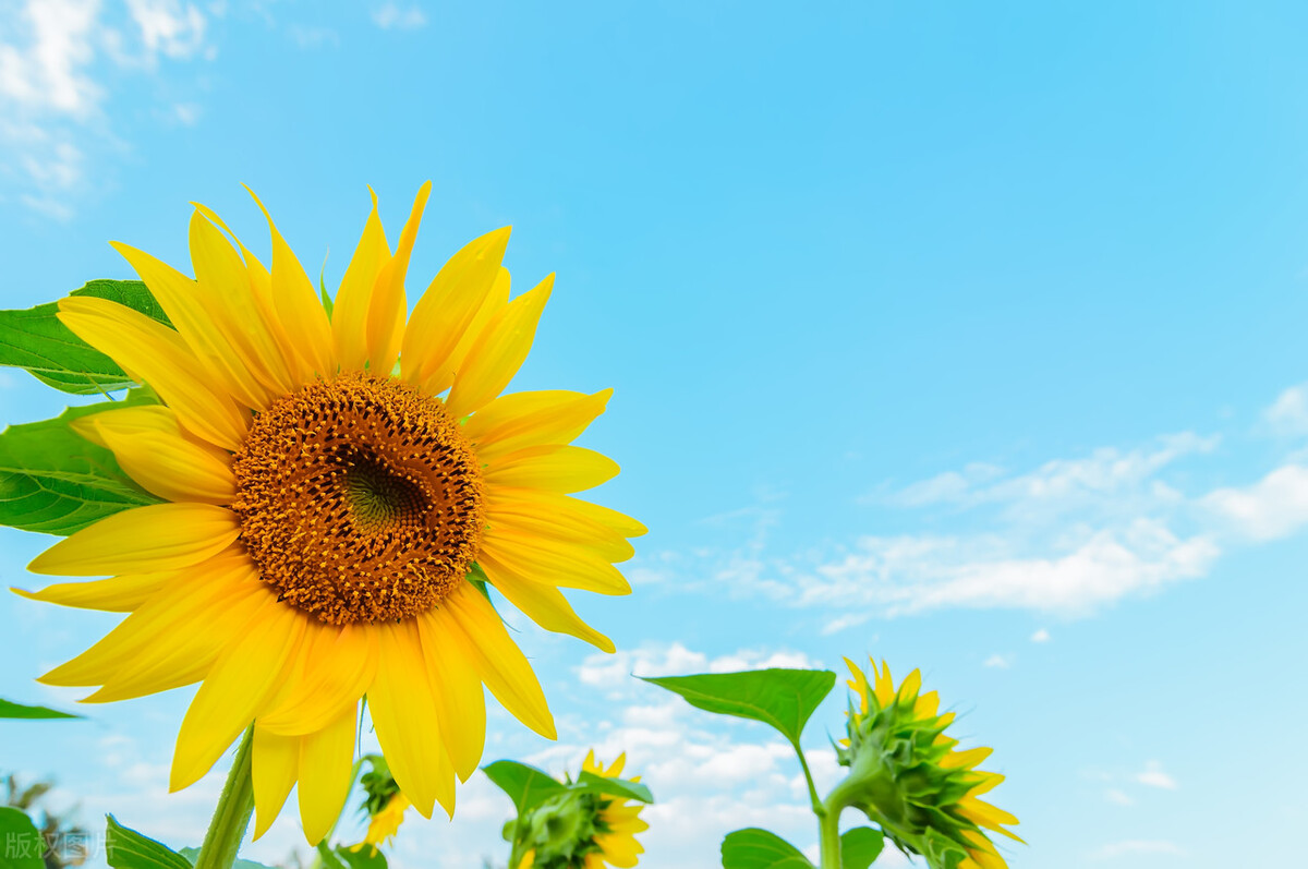 男人爱不爱一个女人，看她的“穿着”便知