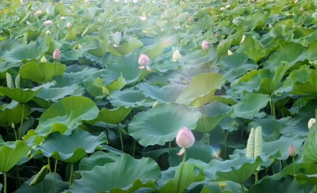 郑州冬季周末遛娃好去处,郑州遛娃好去处排行榜