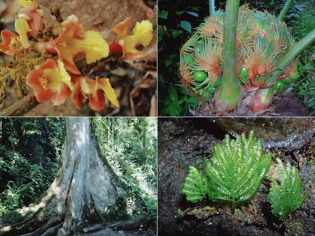 有一种生活叫云南的怒江,有一种生活叫云南生活发布会图片