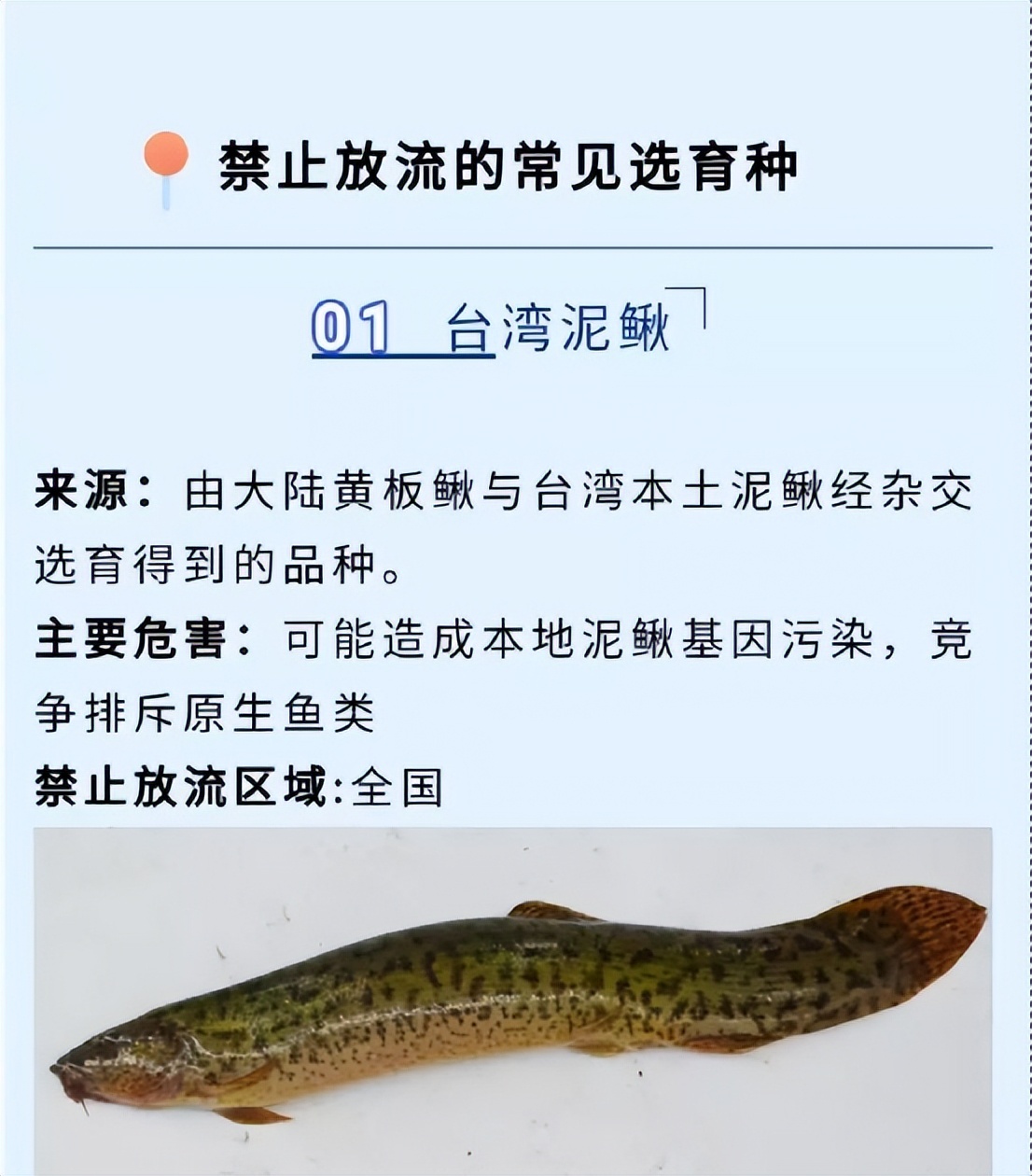 钓鱼泥鳅党被抓,惩治泥鳅党现场