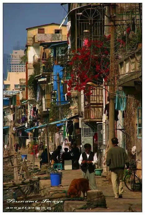 从百年渔港到网红地标!走进厦门最古老的港口,沙坡尾的40年...