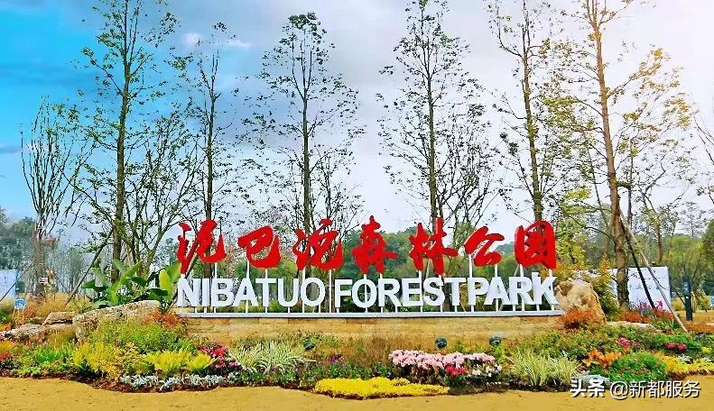 新都是靠什么产业发达的,新都做什么好