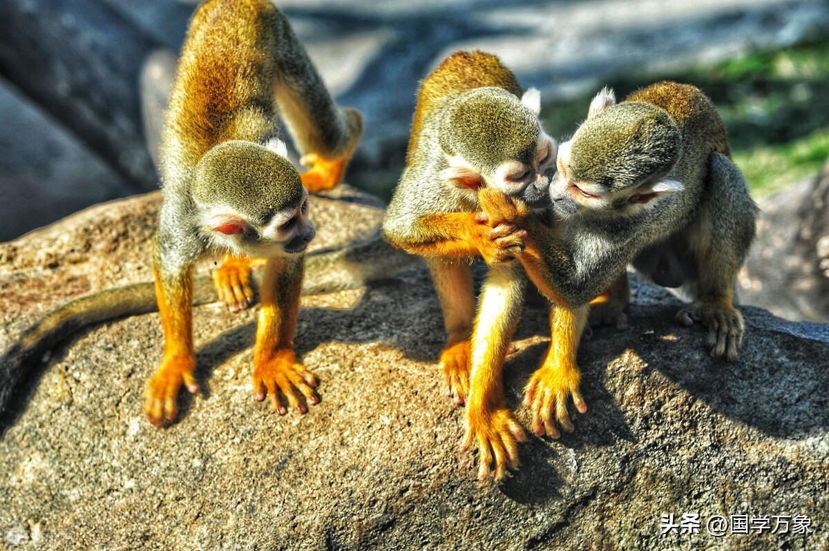 宁坐在宝马哭不坐自行车笑拜金女,宁在宝马车上哭也不愿在单车上笑