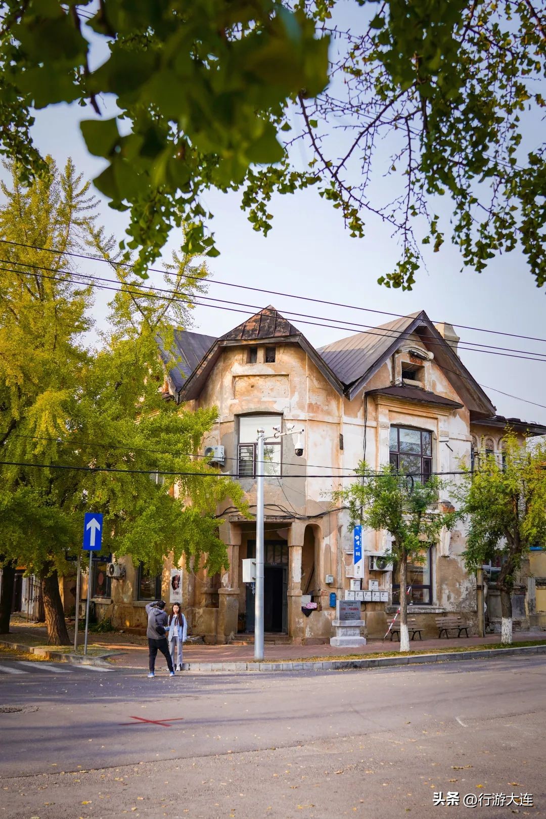 漫步银杏海~大连最美秋日在这里