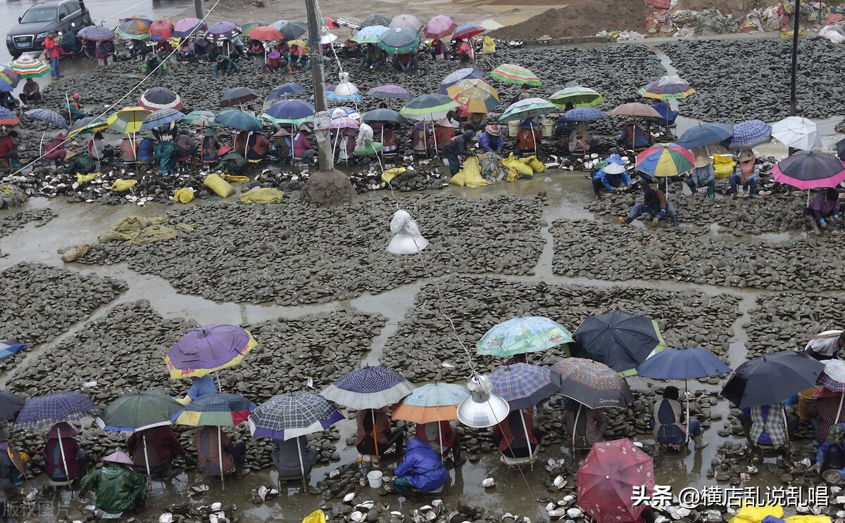 交通巨变之路,交通巨变掠影