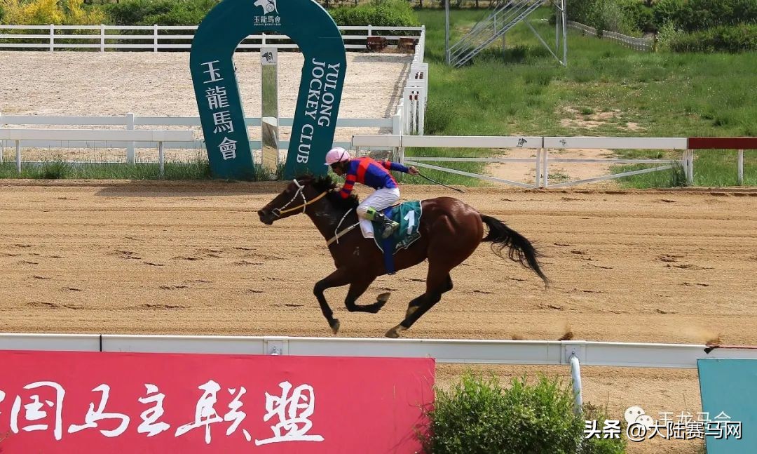 两匹2岁国产马千米跑进1分05秒！2023玉龙第7赛事日战报出炉