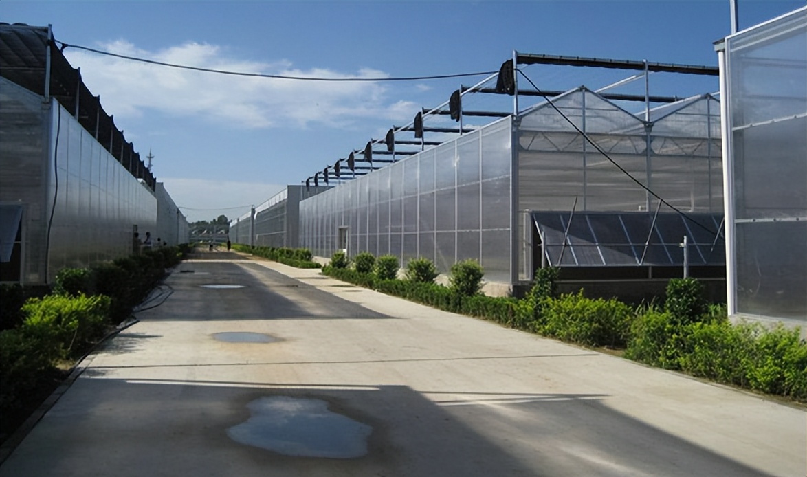 适合无土栽培的温室大棚成本造价,温室大棚的土建基础造价明细表